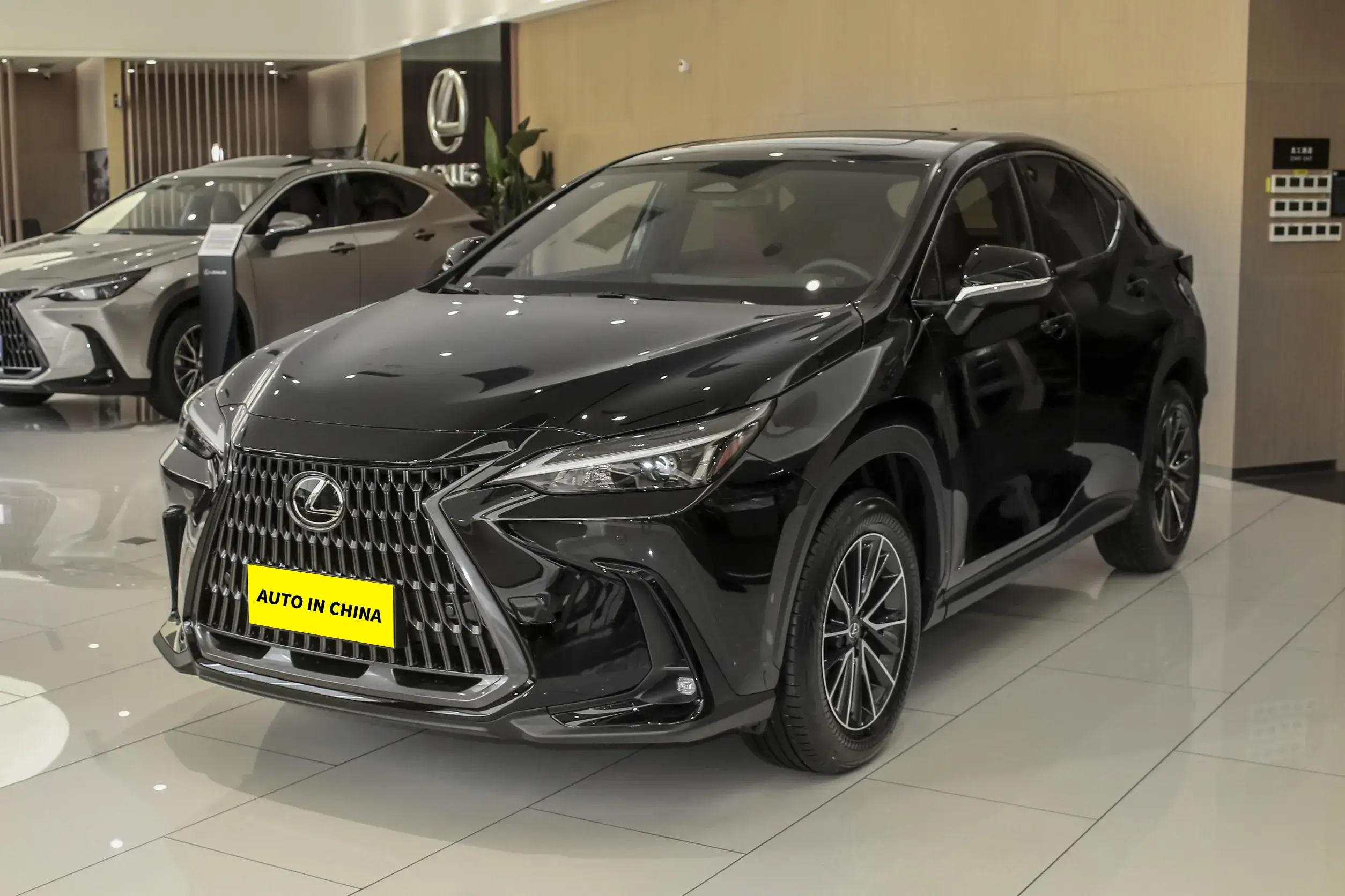 2024 Lexus NX 260 China Car Dealer FWD 2.5L 203HP I4 - NX 260 - 5