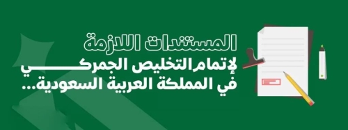 Saudi Arabia Customs Clearance Process: A Step-by-Step Guide for Importers